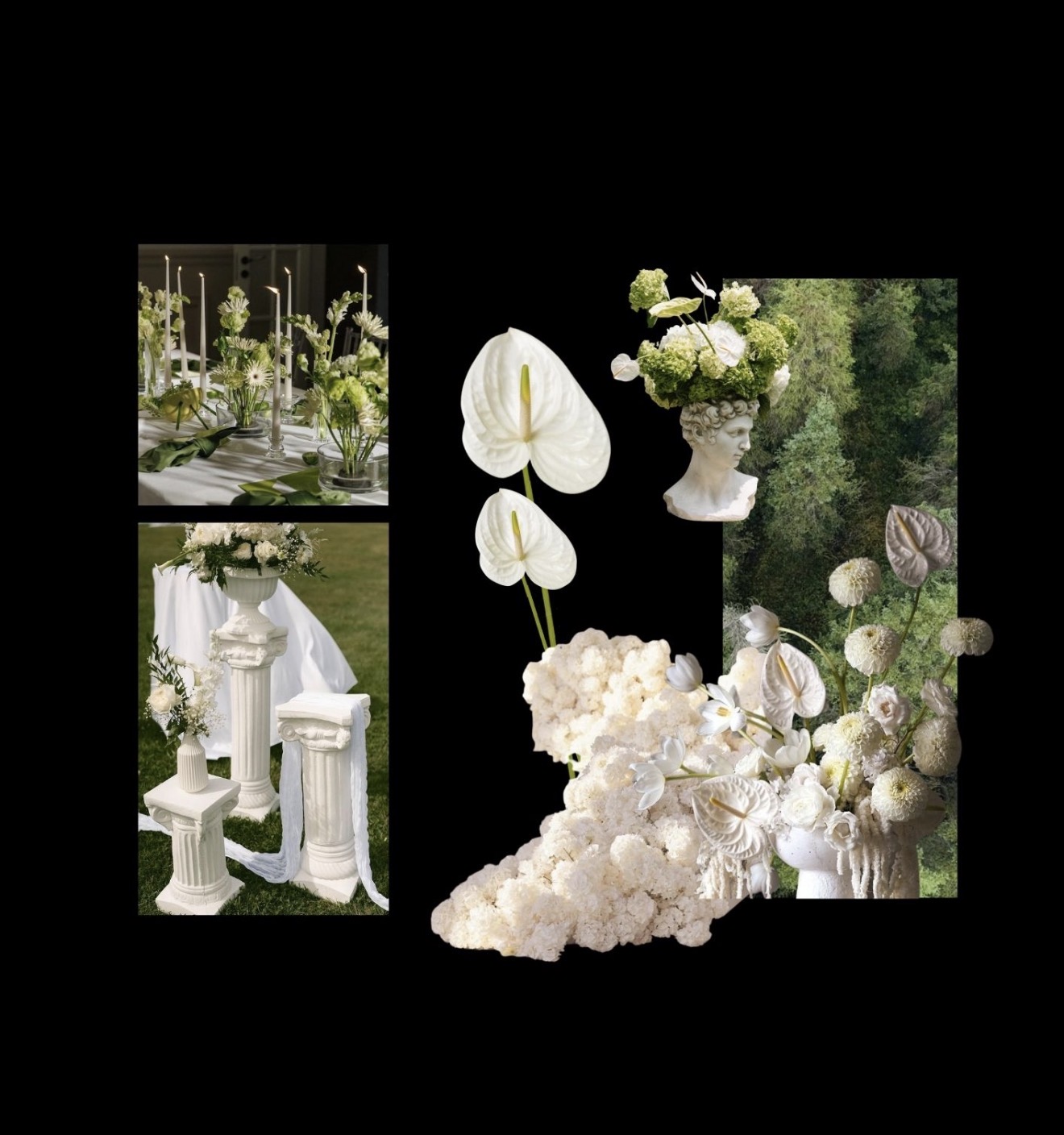 Theme Main Image